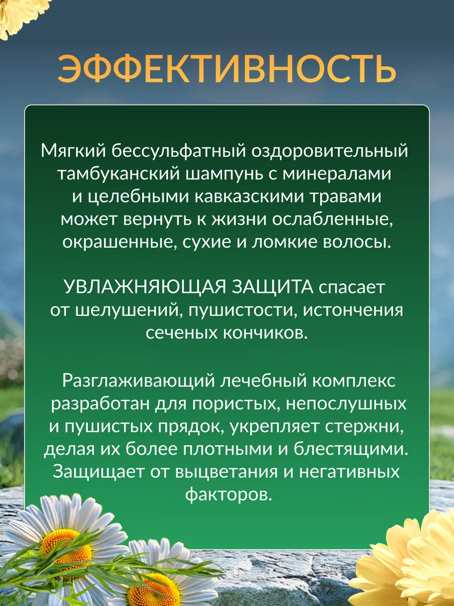 Натуральный шампунь для волос 500 мл Бизорюк 6535300 купить за 309 ₽ в  интернет-магазине Wildberries