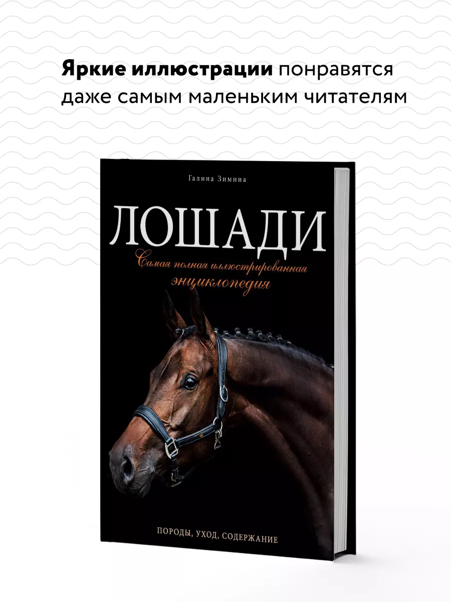 Лошади. Самая полная иллюстрированная энциклопедия Эксмо 6586152 купить за  1 444 ₽ в интернет-магазине Wildberries