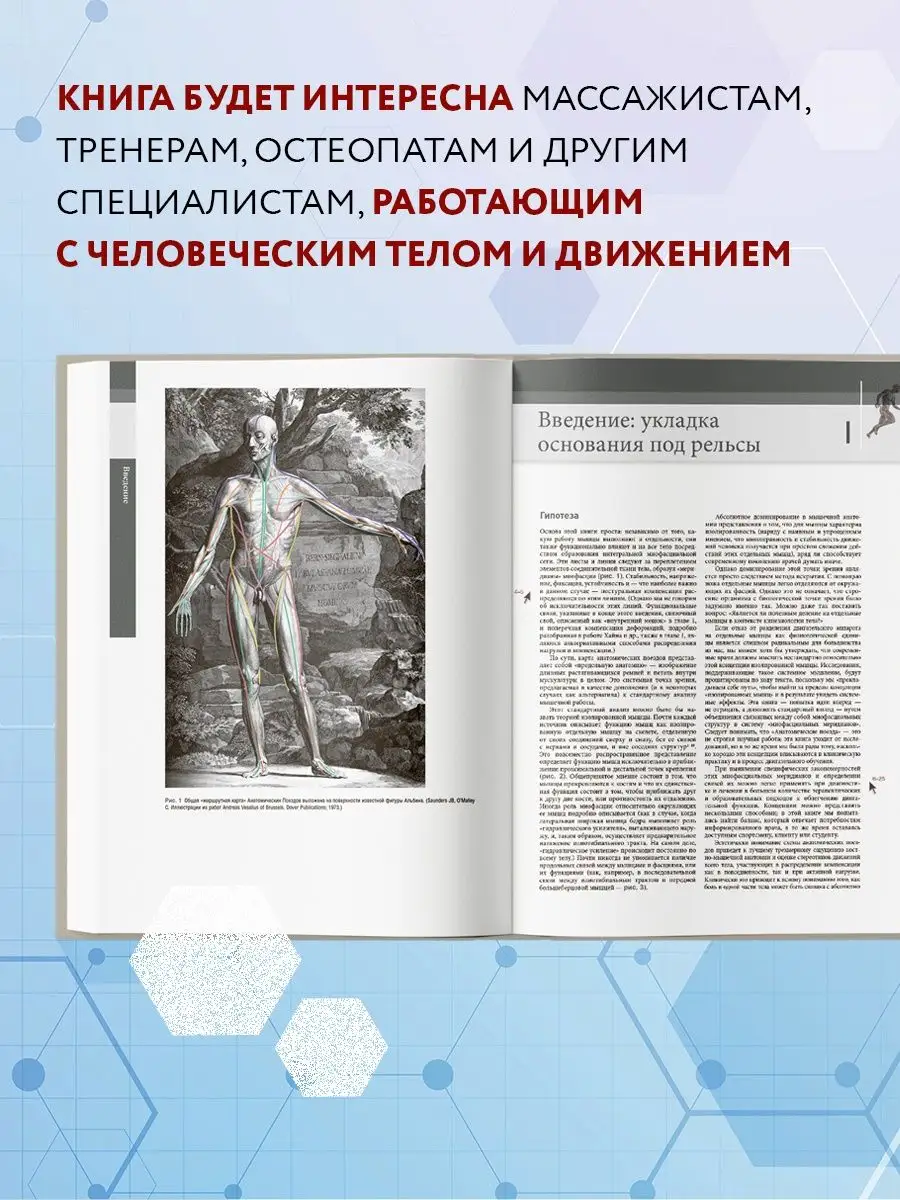 Анатомические поезда. 3-е издание Эксмо 6641559 купить в интернет-магазине  Wildberries