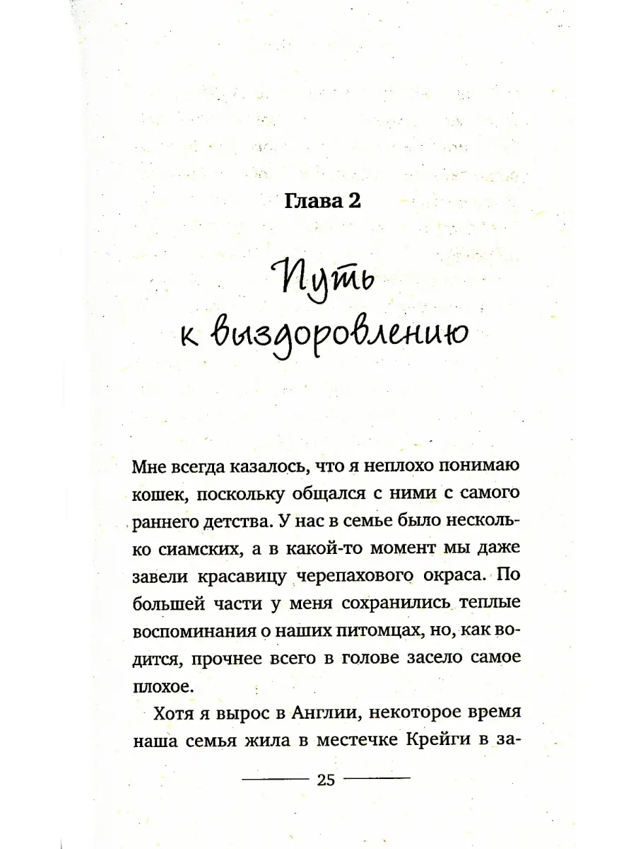 Джеймс Боуэн. Уличный кот по имени Боб Рипол-Классик 6703565 купить за 400  ₽ в интернет-магазине Wildberries