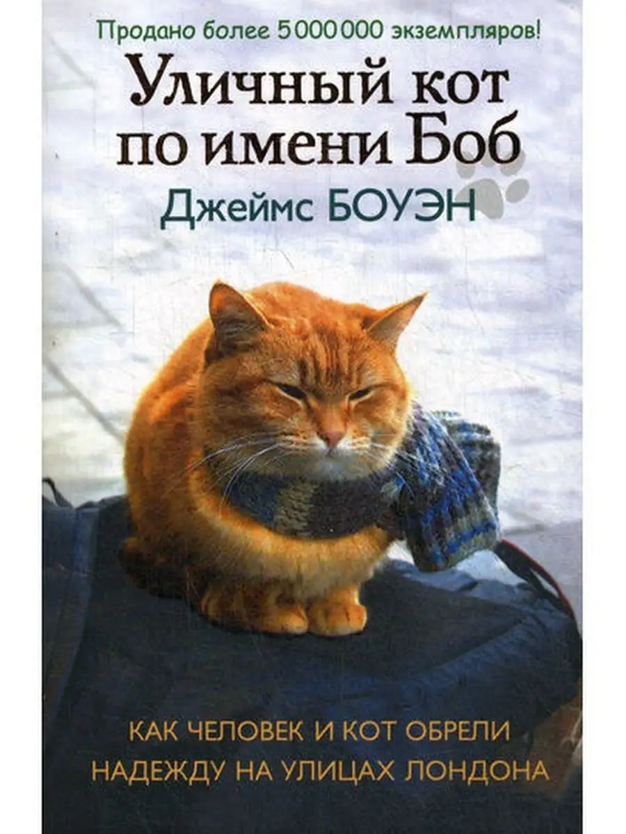 Уличный кот по имени Боб Рипол-Классик 6703566 купить за 457 ₽ в  интернет-магазине Wildberries