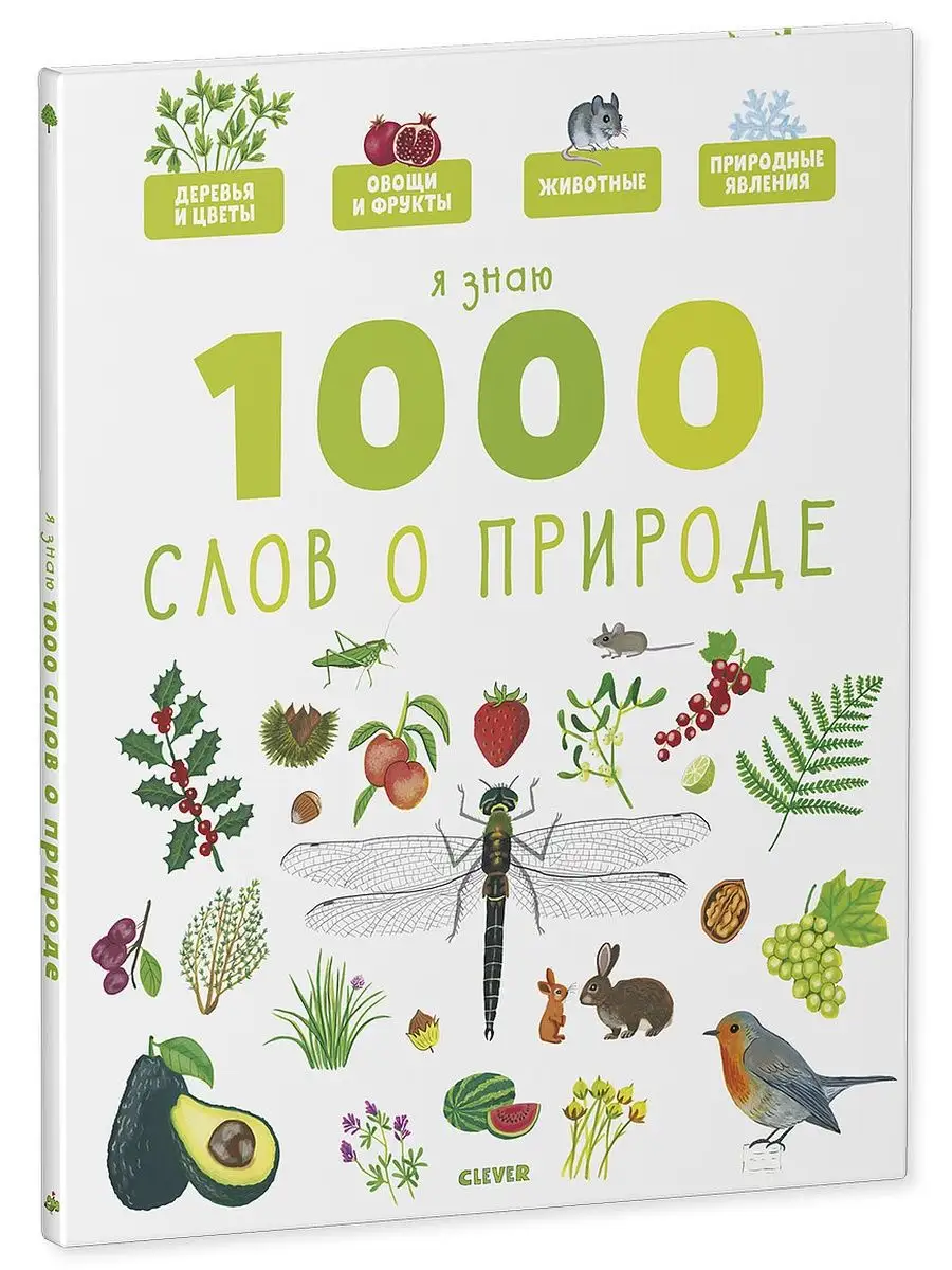 Главная книга малыша.Я знаю 1000 слов о природе/Энциклопедия Издательство  CLEVER 6744599 купить за 442 ₽ в интернет-магазине Wildberries