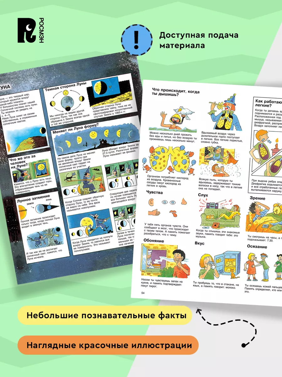 Детская энциклопедия РОСМЭН Книга знаний дошкольника 5-7 лет РОСМЭН 6752027  купить за 621 ₽ в интернет-магазине Wildberries