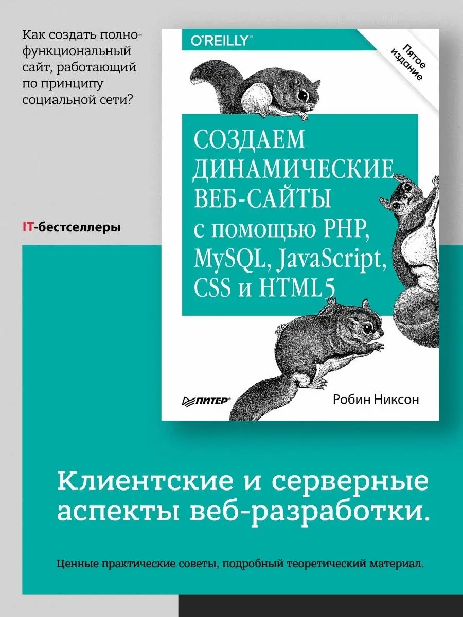 Создаем динамические веб-сайты ПИТЕР 6793120 купить за 1 341 ₽ в  интернет-магазине Wildberries