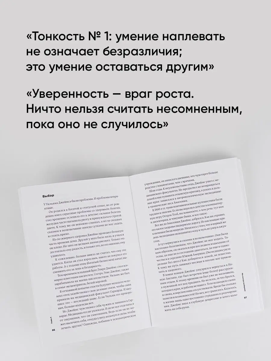 Тонкое искусство пофигизма Альпина. Книги 6891205 купить за 593 ₽ в  интернет-магазине Wildberries