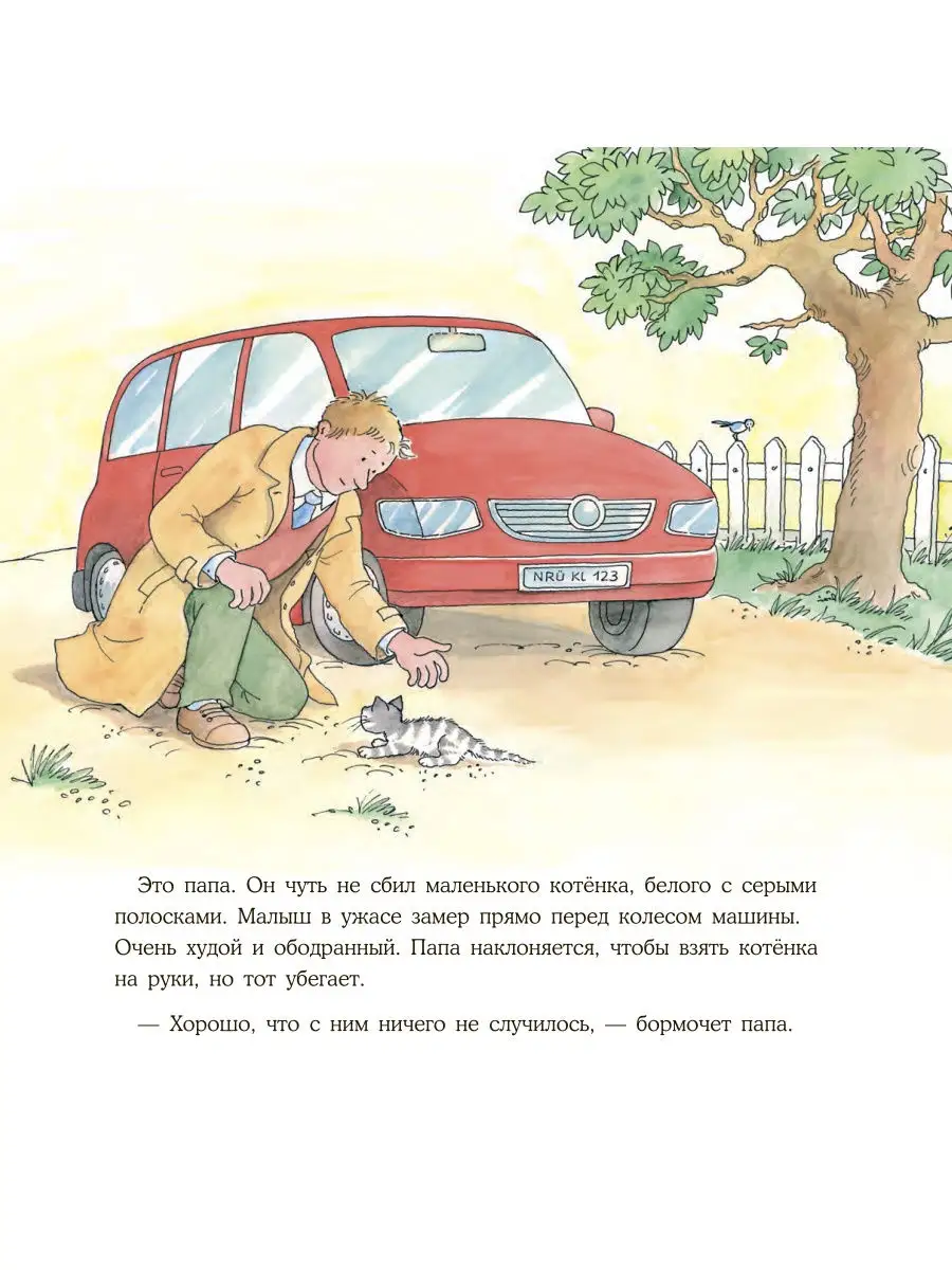 Конни и котёнок Альпина. Книги 6930361 купить в интернет-магазине  Wildberries