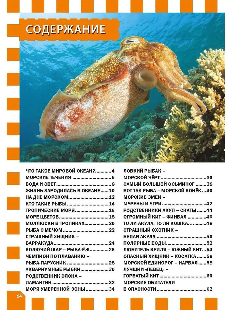 Морские обитатели. Популярная детская энциклопедия Владис 6962774 купить за  261 ₽ в интернет-магазине Wildberries