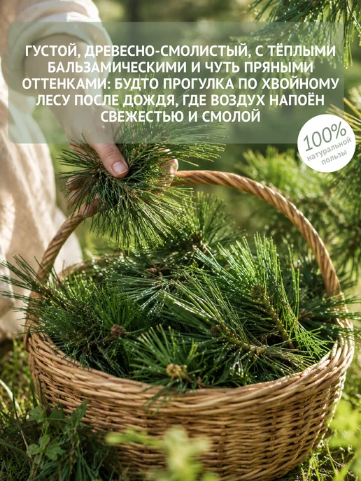 Natura Botanica Эфирное масло кедр, 10 мл, 10 мл, фото 3