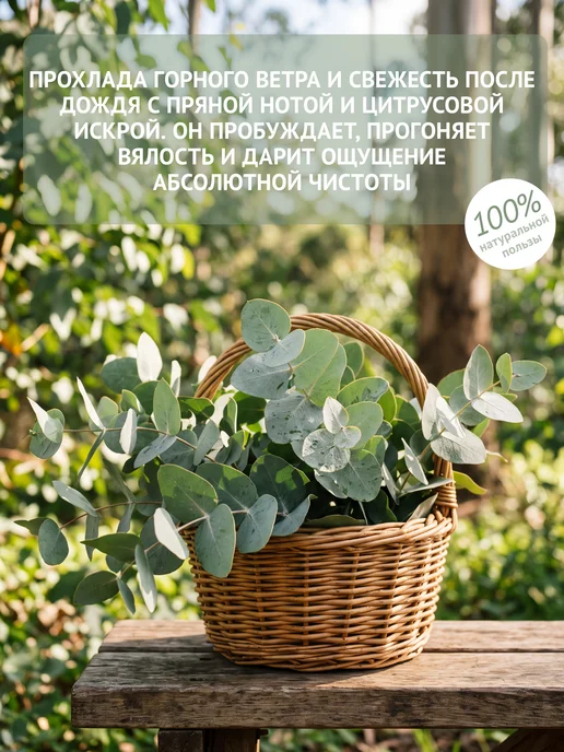 Natura Botanica Эфирное масло эвкалипт, 10 мл, 10 мл, фото 3