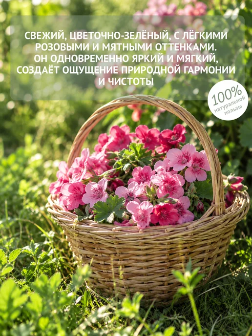 Natura Botanica Эфирное масло герани, 10 мл, 10 мл, фото 3