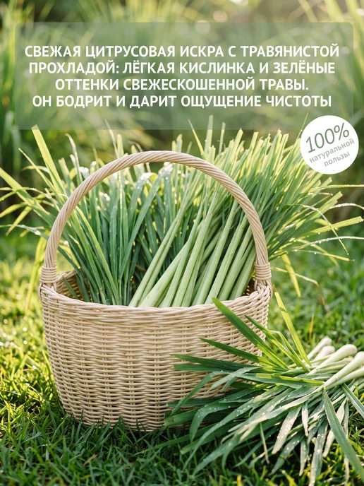 Natura Botanica Эфирное масло лемонграсс, 10 мл, 10 мл, фото 3