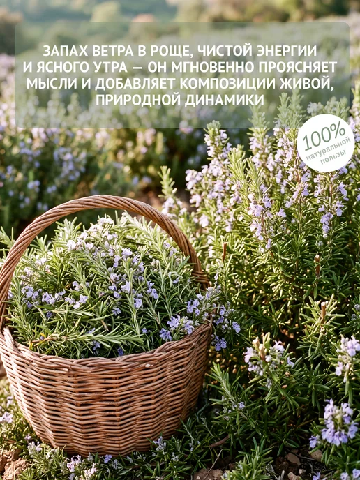 Natura Botanica Эфирное масло розмарина, 10 мл, 10 мл, фото 3