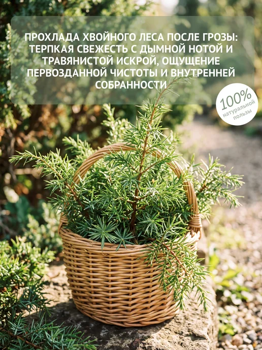Natura Botanica Эфирное масло Можжевельника, 10 мл, 10 мл, фото 3