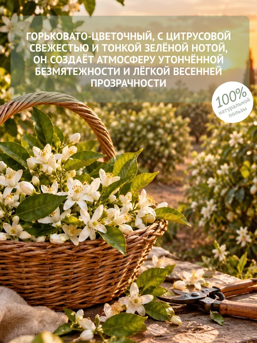 Natura Botanica Эфирное масло нероли, 10 мл, 10 мл, фото 3
