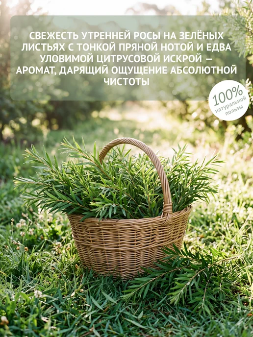 Natura Botanica Эфирное масло розовое дерево, 10 мл, 10 мл, фото 3