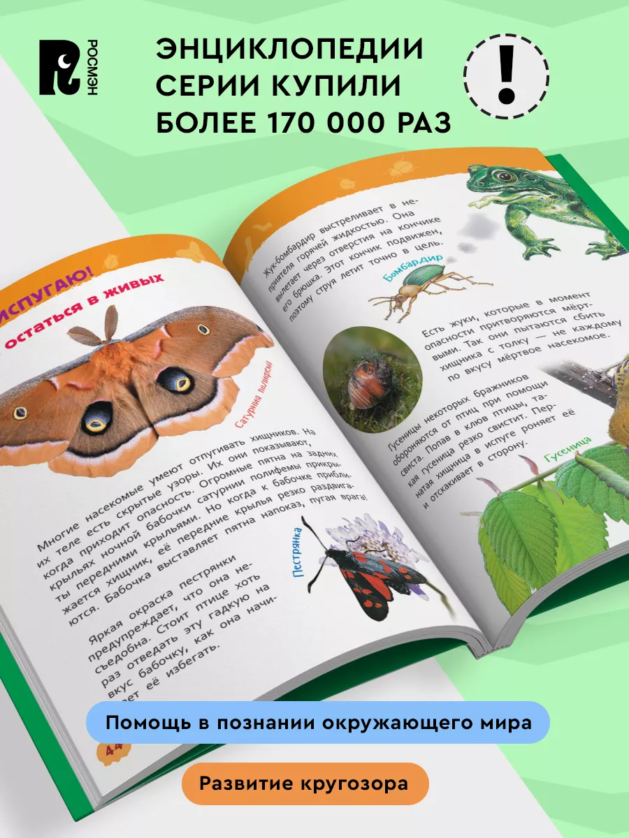 Насекомые. Энциклопедия для детского сада для детей от 4 лет РОСМЭН 7134942  купить за 249 ₽ в интернет-магазине Wildberries