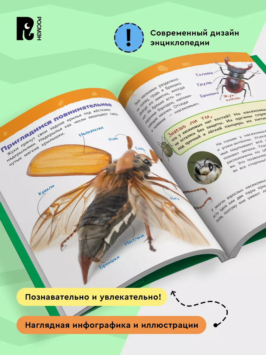 Насекомые. Энциклопедия для детского сада для детей от 4 лет РОСМЭН 7134942  купить за 249 ₽ в интернет-магазине Wildberries