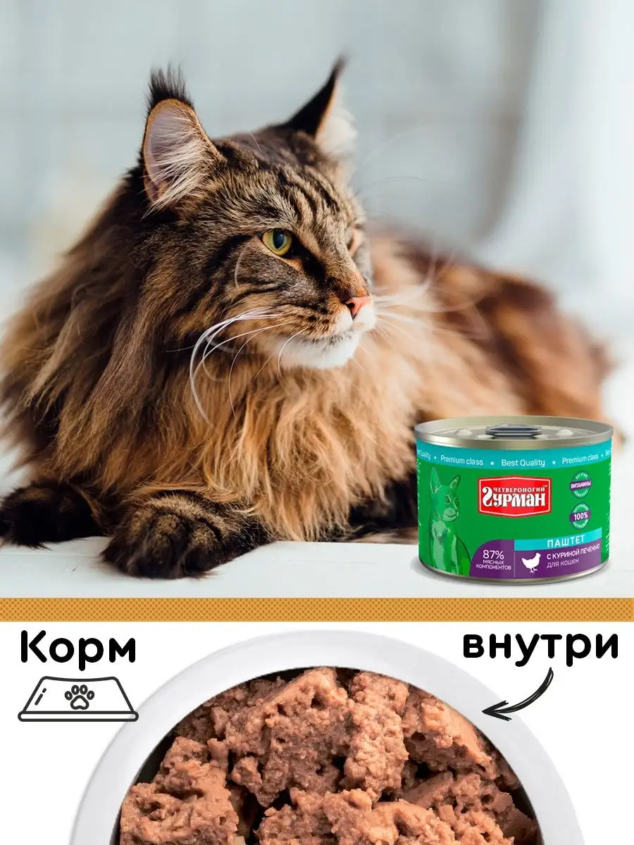 Как делают корм для котов?