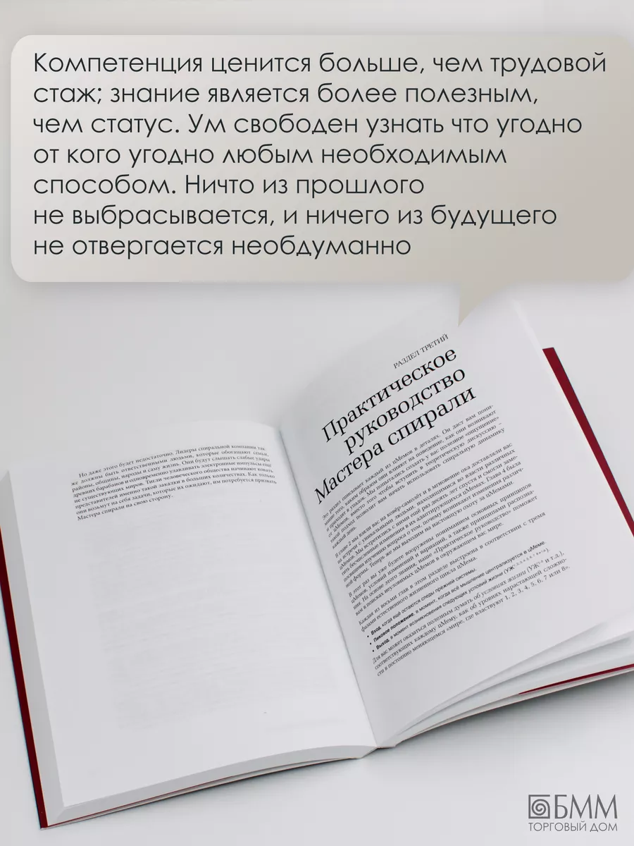 Спиральная динамика BestBusinessBooks 7164210 купить за 1 187 ₽ в  интернет-магазине Wildberries