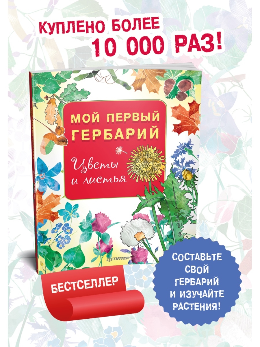 Мой первый гербарий ПИТЕР 7206016 купить за 257 ₽ в интернет-магазине  Wildberries