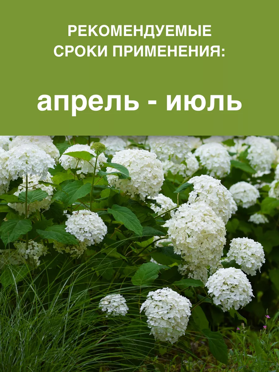 Удобрение Пышная гортензия 1,2 кг БиоМастер 7362094 купить за 453 ₽ в  интернет-магазине Wildberries