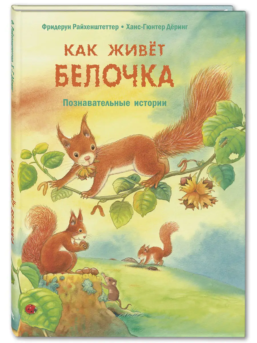 Как живёт белочка Энас-Книга 7493433 купить в интернет-магазине Wildberries