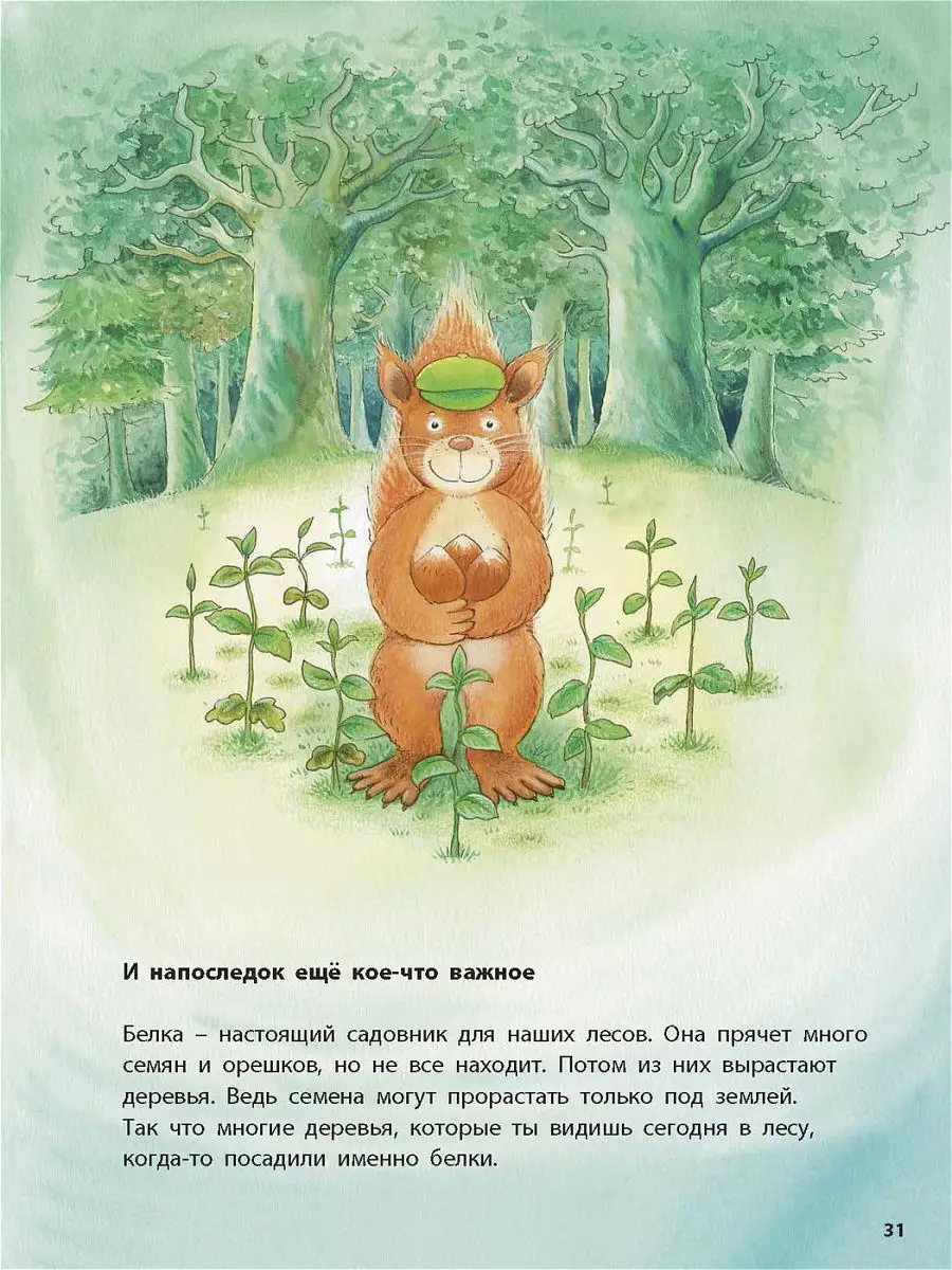 Как живёт белочка Энас-Книга 7493433 купить в интернет-магазине Wildberries