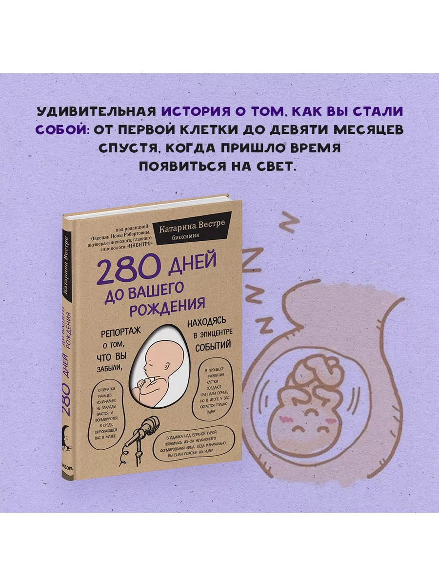 280 дней до вашего рождения Эксмо 7495860 купить за 572 ₽ в  интернет-магазине Wildberries