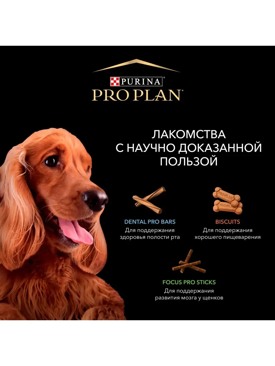 Лакомство Pro Plan Печенье для взрослых собак, с высоким содержанием  ягненка и риса, 400 г PRO PLAN 7500785 купить в интернет-магазине  Wildberries