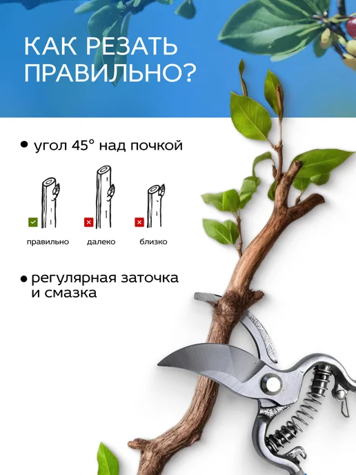 FRUT Секатор садовый цельнокованый для веток до 20 мм, синий, фото 5