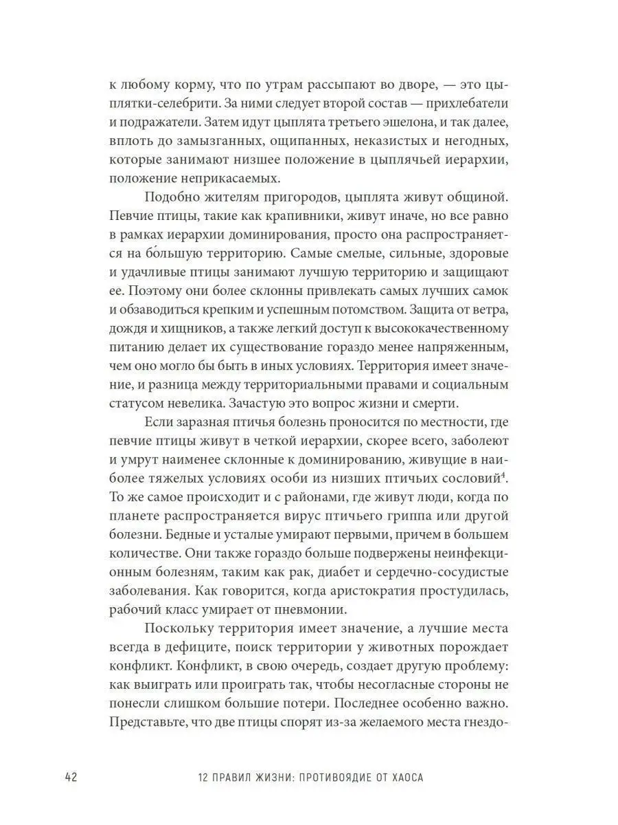 12 правил жизни: противоядие от хаоса ПИТЕР 7557099 купить за 760 ₽ в  интернет-магазине Wildberries