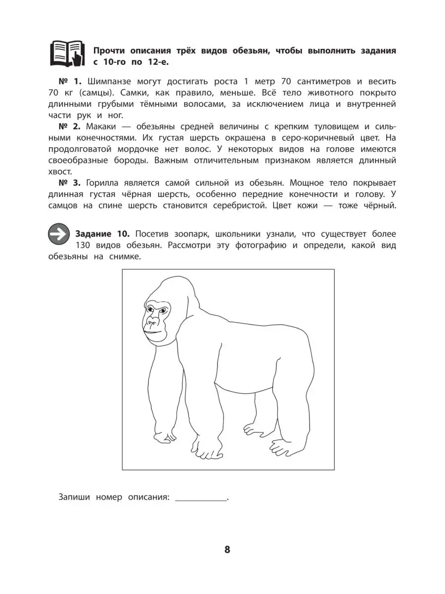 Метапредметная диагностическая работа Издательство Феникс 7571972 купить за  91 ₽ в интернет-магазине Wildberries