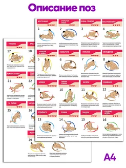 Порно күшті Тығыз кисканың фотосы