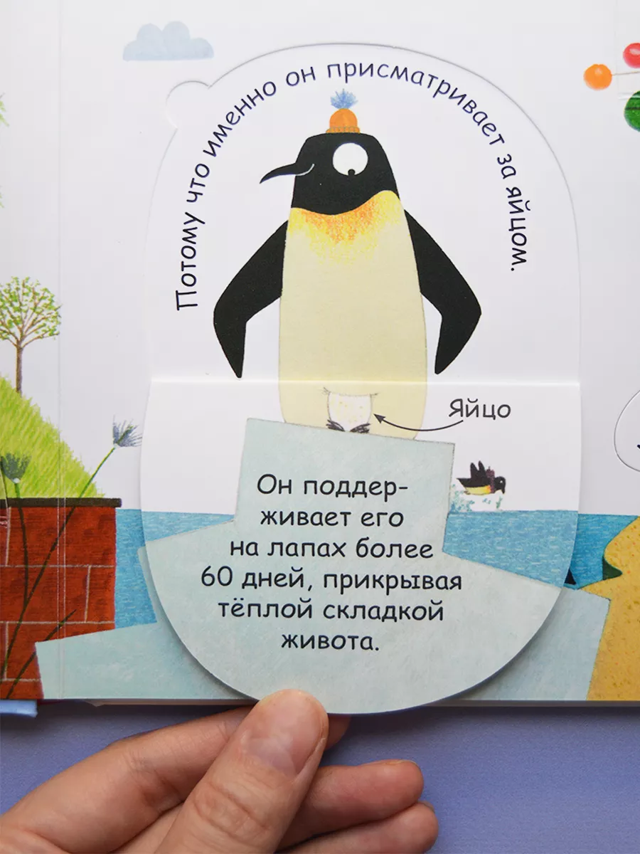 40 окошек. Откуда берутся дети Издательство Робинс 7643720 купить за 647 ₽  в интернет-магазине Wildberries