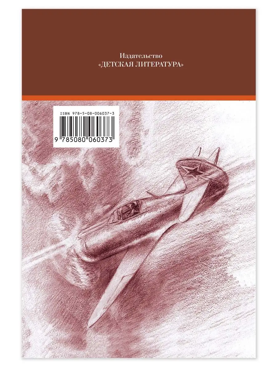 Повесть о настоящем человеке Полевой Б.Н Детская литература 7644325 купить  за 368 ₽ в интернет-магазине Wildberries