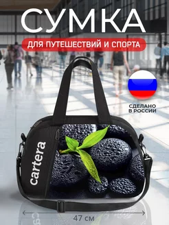 Сумка дорожная ручная кладь Cartera 7688758 купить за 1 331 ₽ в интернет-магазине Wildberries