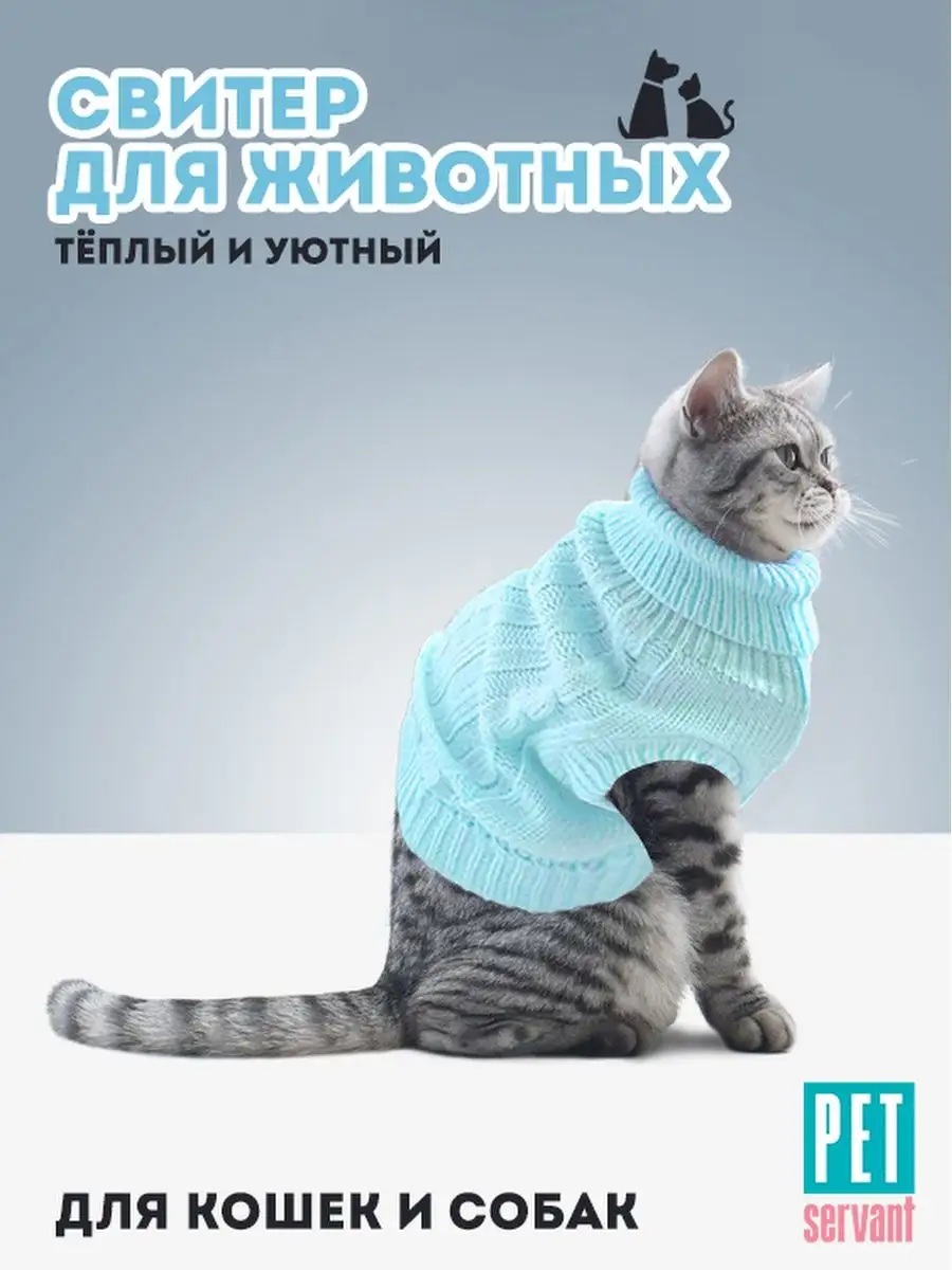 Одежда и аксессуары для кошек