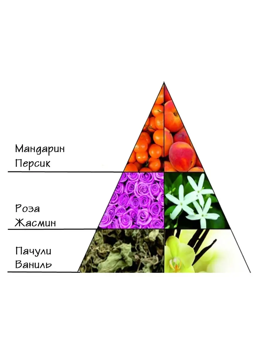 Духи Русская красавица 16 мл Новая Заря 7767202 купить за 720 ₽ в  интернет-магазине Wildberries