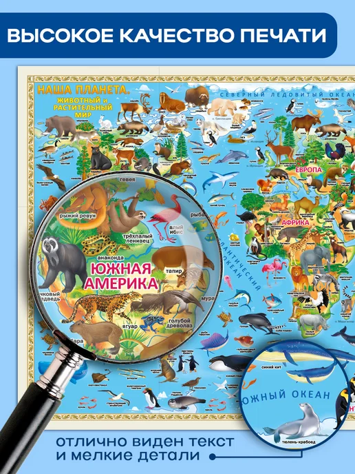 ГЕОДОМ Карта двухсторонняя. Наша планета. 58х38 см ЛАМи, 58x38 см, фото 2