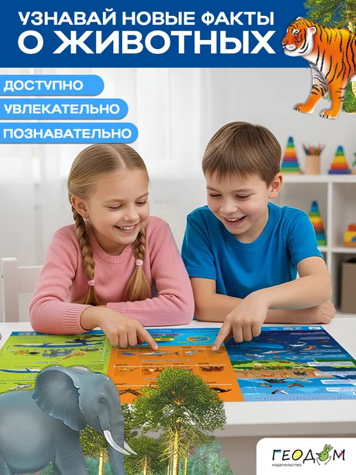 ГЕОДОМ Карта двухсторонняя. Наша планета. 58х38 см ЛАМи, 58x38 см, фото 3