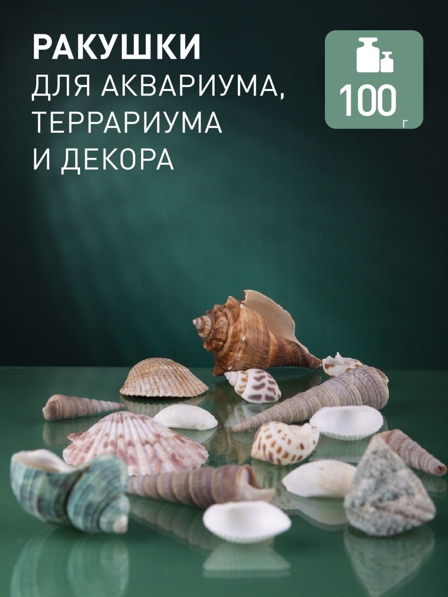 Ракушки для аквариума террариума , декор украшение для аквариумистики, 100г  KD 7928738 купить в интернет-магазине Wildberries