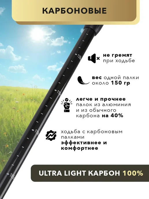 Finpole 100% CARBON Палки для скандинавской ходьбы складные GE, голубой, фото 3