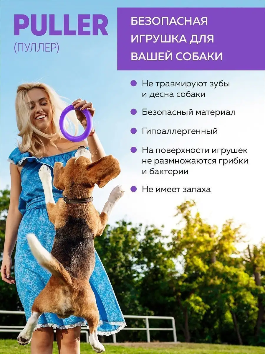 Лежанка для животных, 43х16 см COLLAR 8005585 купить в интернет-магазине  Wildberries