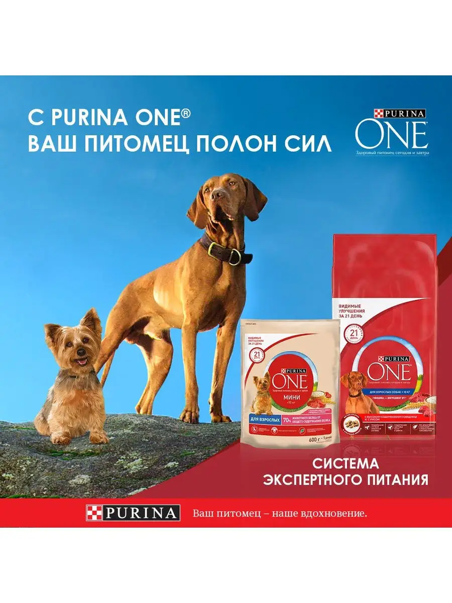 Сухой корм Purina ONE для щенков средних и крупных пород, курица и рис, 700  г PURINA ONE 8014331 купить за 399 ₽ в интернет-магазине Wildberries