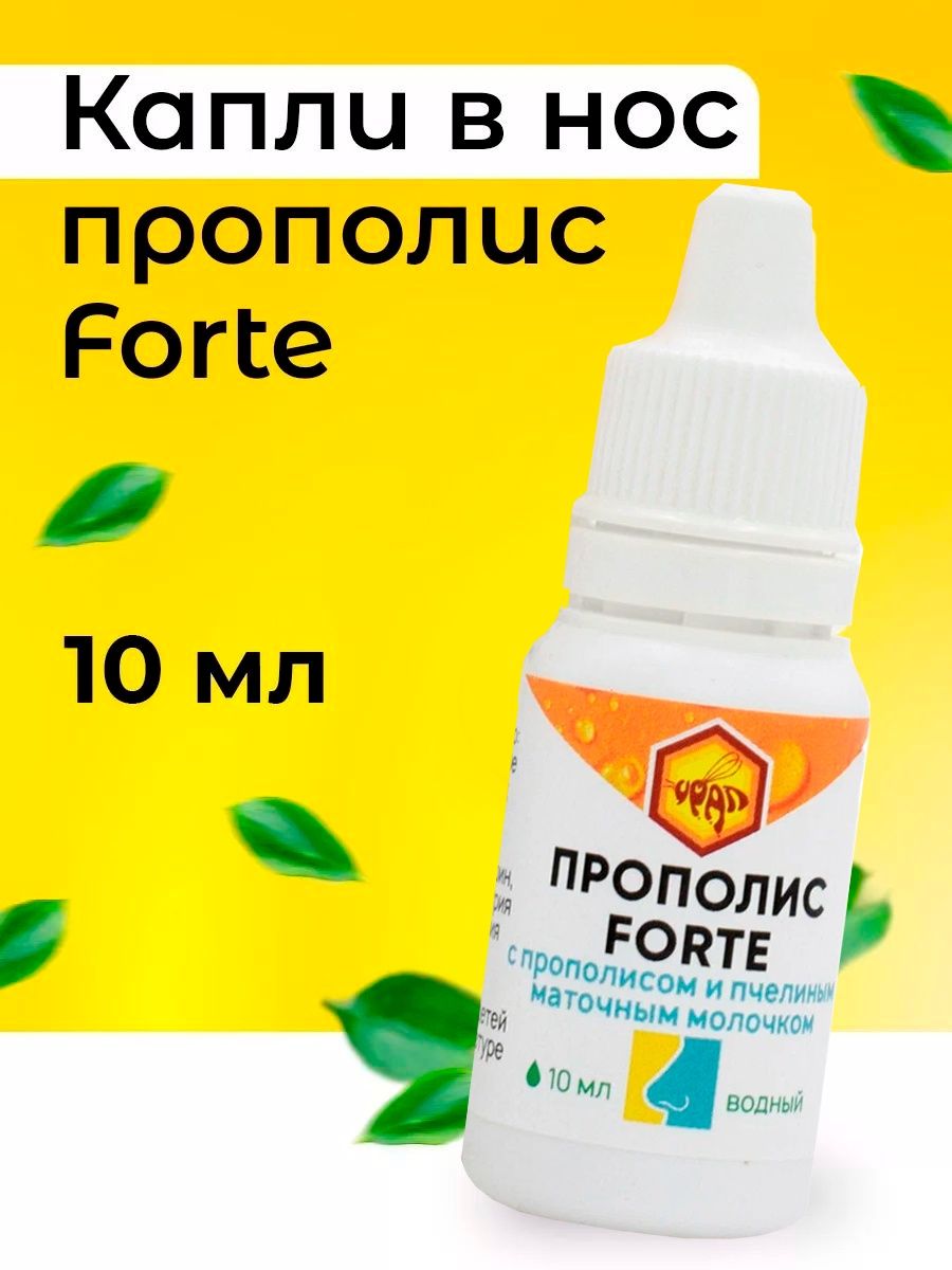 Прополис Forte капли в нос 1 шт. KAMCHATKA 8034817 купить в  интернет-магазине Wildberries