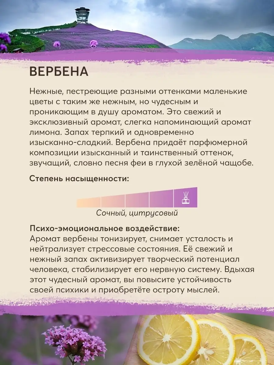 Диффузор Ароматизатор для дома Вербена LE BLANC sarl 8100032 купить в  интернет-магазине Wildberries