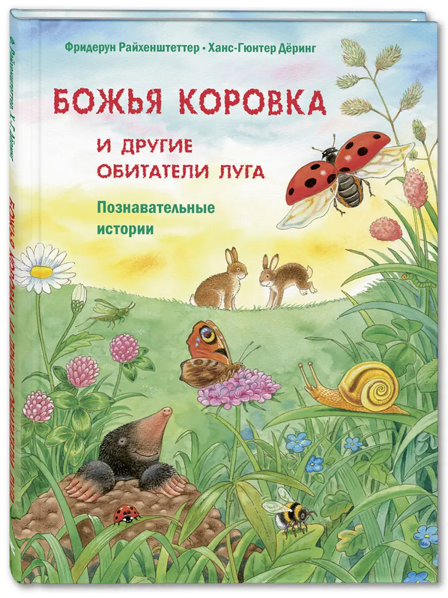 Божья коровка и другие обитатели луга Энас-Книга 8102309 купить в  интернет-магазине Wildberries