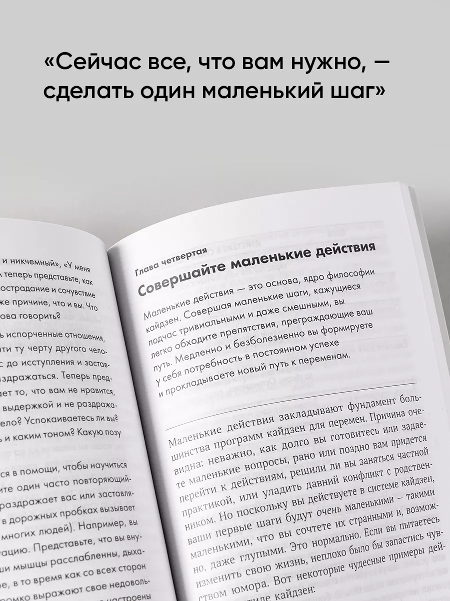 Метод кайдзен. Шаг за шагом Альпина. Книги 8106839 купить за 390 ₽ в  интернет-магазине Wildberries