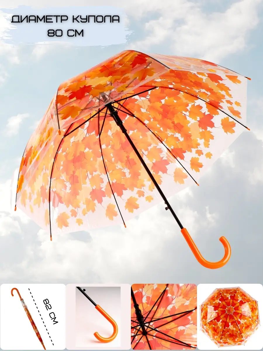 Осенний зонтик. :: Инта – Социальная сеть ФотоКто