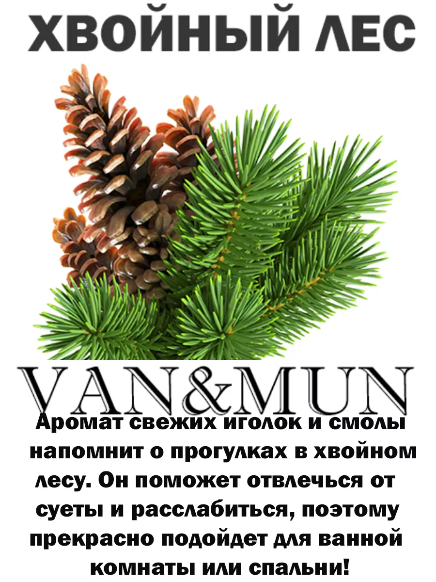 Спрей ароматический Хвойный лес VAN&MUN 8197653 купить за 282 ₽ в  интернет-магазине Wildberries